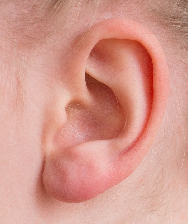 Descubra 5 curiosidades sobre o funcionamento do sistema auditivo